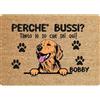 Social crazy Tappeto zerbino personalizzato - con nome cane divertente Golden Retriever Perchè bussi - cocco naturale ideale per ingressi (Cocco Naturale, 60x40 cm)