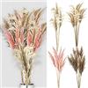 Cepewa Erba della pampa, set da 12 pezzi, altezza 90-100 cm, fiore secco, erba artificiale (1 set di 12 erba della pampa 90-100 cm)