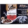 Sheba SABA tasca SELEZIONARE fettine in Salsa Succulenta selezione 12pack 1020 g MS Saba, sacchetti, Gatti
