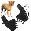 Generic Tutore di Supporto per Gamba del Cane - Ginocchiera per Gamba Posteriore | Supporto per L'articolazione 'Anca | Supporto per Tutore per Anca per Cani | Ginocchiera per Gamba Posteriore, Protegge L