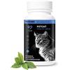 Peticare Mix vermifugo per gatti | Integratore alimentare naturale | Polvere per il benessere intestinale | Formula naturale | Non è un antielmintico | Con l'innovativo complesso Corvitalis®