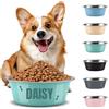 Aappping Gamelle Personnalisée Pour Chien Chat Inox,Gravure Laser Texte Prénom Ou Date Gravé, Grande Et Petite Taille Chien Accessoires Cadeau Pour Chiens, Chat Compagnie (Cyan, M)