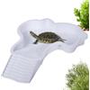 Generico Vaschetta Vasca per Tartarughe di Terra con Rampa‌,Vasca Piscina Vaschetta da Bagno per Tartarughe d'acqua,Laghetto Terrario Giochi Ciotola Tartarughe Acqua Terra e Rettili‌,Anfibi‌,35x28.5x4.3cm (C)