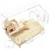 Generico Gabbia per Criceti,Casa Per Cincillà A 2 Piani Trasparente | 45x28x34 cm Casa Acrilica per Criceti,Per Riccio Gerbillo Cincillà Piccoli Animali Domestici Allevamento Interno