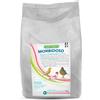 Generico Morbidoso Pastoncino Bianco Morbido per Uccelli, 4kg, Senza Semi, con Omega 3, Omega 6, Silimarina e antiossidanti