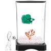 Generic Betta - acquario in acrilico con illuminazione a LED, 17,7 x 11,8 x 11,8 cm, decorazione trasparente da scrivania, acqua per foro di alimentazione paesaggistica. accessori decorativi per