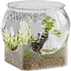 Generic Acquario rotondo per pesci Betta, trasparente, contenitore floreale centrotavola per posto di lavoro, casa, soggiorno, bagno, scrivania, dormitorio