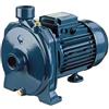 Ebara Elettropompa centrifuga monocellulare, serie CMA 100 M, per approvvigionamento e pressurizzazione, acqua potabile domestica e svuotamento-riempimento, 0,75 kW e 1CV, ghisa, colore blu (riferimento
