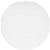 Baluue Paralume Sferico in Plafoniera Rotonda Tonalità Globo Bianco Paralumi Semplici Lampadario Soffitto Paralume Globo Per Lampadario Paralumi Patio Bicchiere Bolla Lampada a Muro