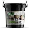 MICROLANIC MONOCOMPONENTE SOTTILE (15KG). Per 25m2 Microcemento in polvere a grana fine per la decorazione di pavimenti e pareti. Questo prodotto fa parte di un sistema. COLORE (GRIGIO 20%)