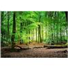 WallArena - Carta da parati fotografica - Foresta, Alberi, 208x146 cm - Murale fotografico - Per soggiorno e camera da letto - Effetto 3D - con Colla - Natura, Natura,