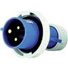 MAURER Spina Mobile Diritta Industriale 220V 16A 2P+T IP67 Blu Maurer