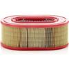 Mann Filter MANN-FILTER C 25 124 - Filtro Aria