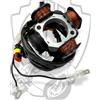 LG-MOTORS POWER ENGINEERING STATORE CAMPO MAGNETICO ENDURO RR 50 FACTORY MY12-MY14 2012-2014 ENDURO RR 50 MY05-MY06 2005-2006 ENDURO RR 50 MY05-MY06 2005-2006 ENDURO RR 50 MY07 2007 ENDURO RR 50 MY07 2007