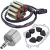 Road Passion Volano statore generatore 2D1-81410-00 & Bobina di statore & Blocco tampone cilindro magnetico & Guarnizioni Compatibile con Yamaha YZF-R1 2004-2008 / FZ-1 2006-2014 / FZ8 2013