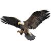 Asudaro Adesivo Aquila per Auto, Adesivo Aquila Volante 3d Aquila Animale Adesivo per Auto Adesivi per Auto Adesivi per Ali D'Aquila Adesivi per Emblema per Auto Adesivo per Carrozzeria Auto