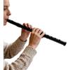 Generic Fischietto irlandese, chiave C/D, professionale, portatile, strumento musicale per adulti, principianti, bambini, concerti, allenamento, performance