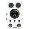MOOER GL100