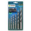 Fieldmann Set di 12 foretti e viti