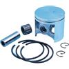 GTWSQQ Kit cuscinetto ad ago for pistone da 48 mm, perno da 12 mm, for pezzi di ricambio di ricambio for motosega Hu = sqvarna 262XP 261 262 262XPH XP 503531172