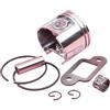 LIWaaGe For MS250 MS230 025 023 Chain Saw 42.5mm Piston Ring Pin Circlip Kit Muffler Gasket Needle Roller Bearing