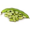 SVI SEMI DI GIGANTE Fava * ENORMI 7 BACCELLI INCH * TENDER & sapore unico * 30 COUNT PKT *