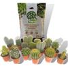 ITALY GREEN LIFE KIT CURA E PIANTE GRASSE - 6 Piante Grasse (Vaso 5.5) Mix Cactacee + Terriccio da 10 Litri | Kit per Cura Piante da Interni, Ufficio, Scrivania