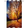 Hiseng Tende per Gazebo Impermeabile 1 Pezzi Tende da Esterno con Anelli, 3D Stampa di Foresta Tenda da Esterno Oscurante per Balcone Giardino Terrazzo Veranda e Finestre (100x140cm,Autunno)