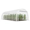 Outsunny Serra da Giardino a Tunnel 3x6x2 m con 2 Porte Avvolgibili, Serra per Orto con 4 Rinforzi Diagonali, Struttura in Acciaio e Copertura PE, per Orto Verdure Fiori Frutta, Anti UV, Trasparente