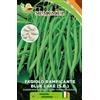 SEMIMEL Fagiolo Rampicante Blue Lake S.B. - Pianta Alta Fino a 250 cm, Baccelli Senza Filo, Ciclo 60/70 Giorni, 50g 3 confezioni