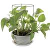 LAMF 3 gabbie di supporto per piante da giardino, anelli di supporto per piante in vaso, resistenti, per crescere attraverso fiori e piante, supporti rotondi per piante