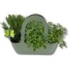 P. Piantine da Orto | Aromibag Verdino Composta da Menta Piperita, Rosmarino, Maggiorana, Piante Vere, Idea Regalo, Vivaio Italiano