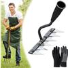 Knubbuf Rastrello in ferro per giardinaggio e diserbo, rastrello da giardino in acciaio al carbonio a 5/6/7/8 denti, rastrello per terreno resistente, rastrello da diserbo in ferro per giardinaggio (6 Teeth)