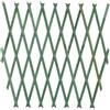 OISE ART STORE Trade Shop - Traliccio Rete Estensibile in Legno Verde per Parete da Giardino Piante 180x60cm