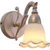 YFMYY Applique da Parete Vintage Europeo, Lampada da Parete retrò in Metallo Dorato Dipinto a Colori, apparecchio di Illuminazione a Parete per Interni, Lampada da Parete in Vetro Floreale