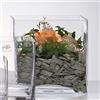 Sandra Rich Cube EKB Vaso Quadrato 20 x 20 cm Vetro Trasparente