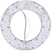 xyunluk Modulo plafoniera a LED 14W 26W 36W 50W 80W Pannello ad Anello a LED Cerchio di Luce LED a soffitto Rotondo Bordo Lampada Circolare AC 220V 240V Luce a LED(14W White Light)