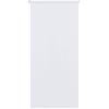 Aufun Tenda a rullo oscurante, con tirante laterale, senza fori, fissaggio a morsetto (110 x 210 cm, bianco)