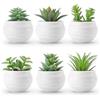 Gettimore Set di 6 graziose piante grasse artificiali in vaso, per la decorazione della casa e dell'ufficio
