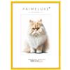 PrimeLuxe Cornice portafoto in legno massiccio, realizzata su misura, sottile, 33 x 45 cm, colore giallo lucido, dimensioni a scelta, con vetro acrilico antiriflesso, cornice per poster, puzzle