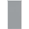 Aufun Tenda a rullo oscurante, con tirante laterale, senza fori, fissaggio a morsetto (80 x 160 cm, grigio)