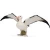 Collecta Figurine - Albatros Hurleur - Collecta 88765