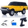TOUCAN RC HOBBY 1/18 2,4 G RC Rock Crawler Auto LDRC LD18401 4WD Auto da arrampicata telecomandata Simulazione SUV Veicoli Motore a spazzola ESC Servo RTR Outdoor