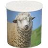 Generico Scatola sonora per simulazione di animali - Creatore di suoni animali da 6 cm, stimola l'innovazione | Stagno in ABS che produce rumore di pecora con facilità, generatore di rumore di pecora per bambi