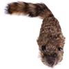 MagiDeal Super Robbie Rocky Raccoon Fase Trucchi Magici Giocattoli Partito Magia Divertimento Illusione