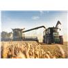 MyPuzzle.com MyPuzzle Mietitrebbia E Trattore Nel Campo Di Grano - Premium 1000 Pezzi Puzzle - MyPuzzle Collezione speciale di Puzzle Galaxy