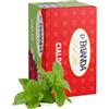 La Bevanda Del Re - Tisana Menta, 20 Cialde ESE Filtro Carta 44MM, Infusi, Thè Da 3,5G, 70G