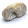 Almanegra Caffè Paste di Mandorla Artigianali Almanegra Delizie Siciliane Miste Assortite al Pistacchio Arancia Classiche Sicilia (Tre Dita, 10 Pezzi)