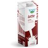 Bayernland - Latte intero UHT a lunga conservazione 12 lt