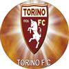 Tortaprint Cialda per torta tema CALCIO ( T O R I N O ) decorazione in ostia personalizzata rotonda IMG 2